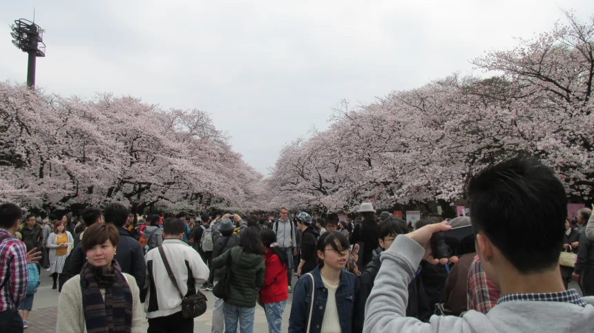 Японское правительство планирует увеличить налог на выезд из Японии