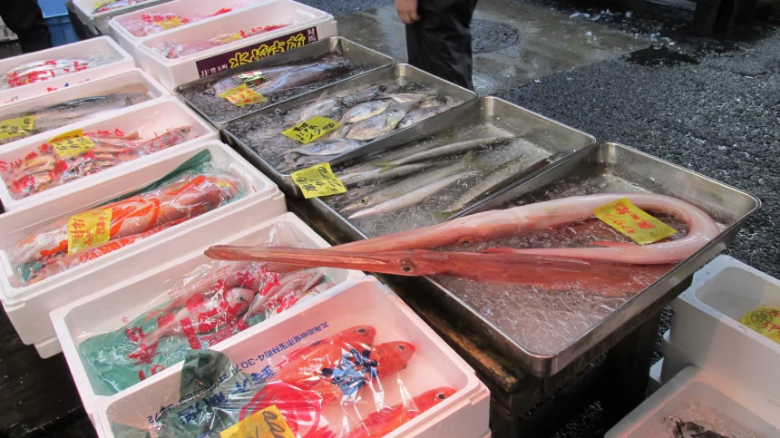 Многие Японские рестораны снижают цены на блюда из рыбы благодаря богатому улову тихоокеанской сайры