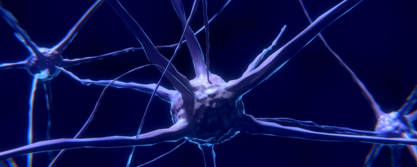 Новая экспериментальная модель позволит восстанавливать головной мозг после травм и инсультов